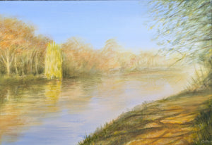 "Autumn reflections at Goring"