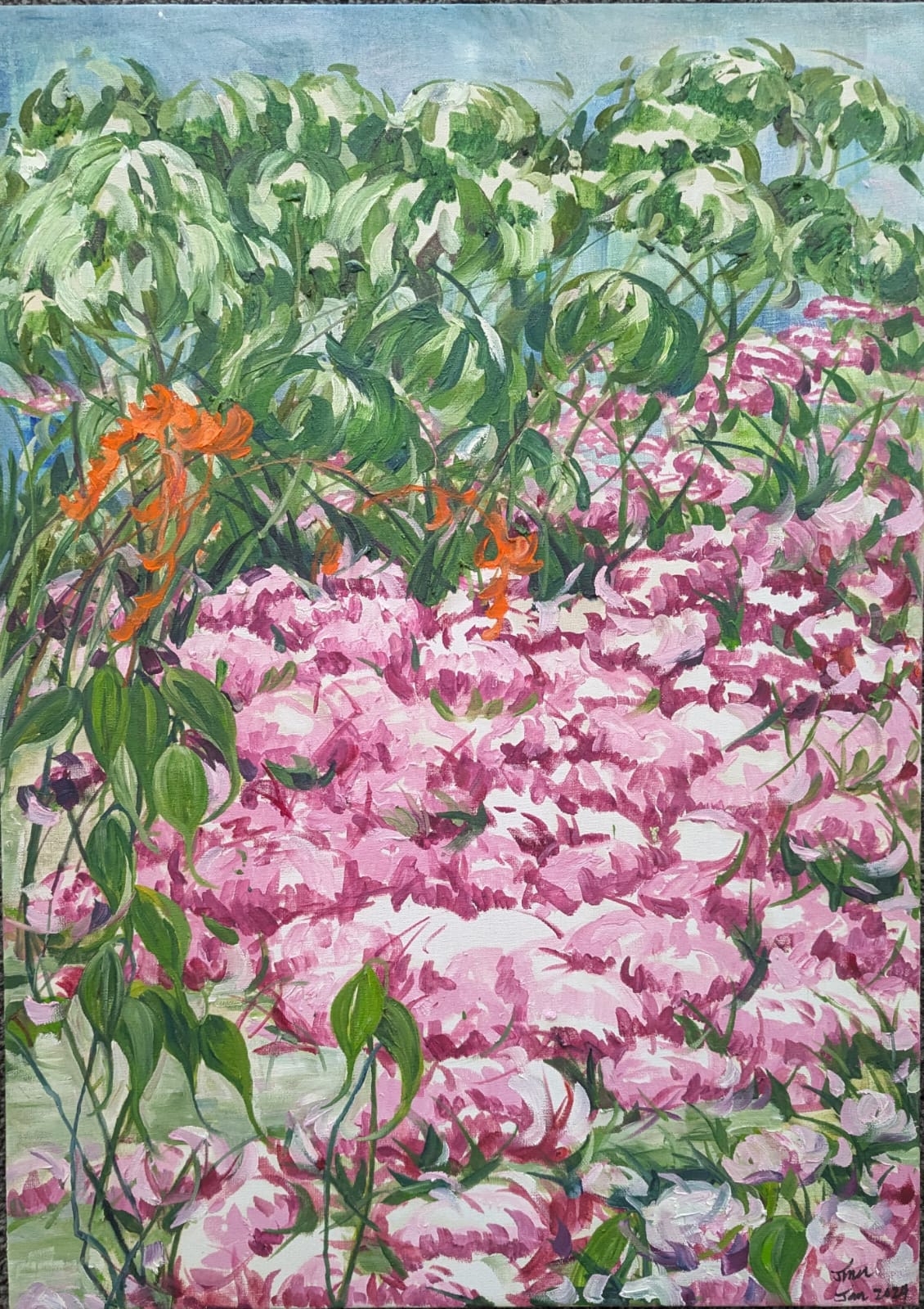 "Beautiful Border"