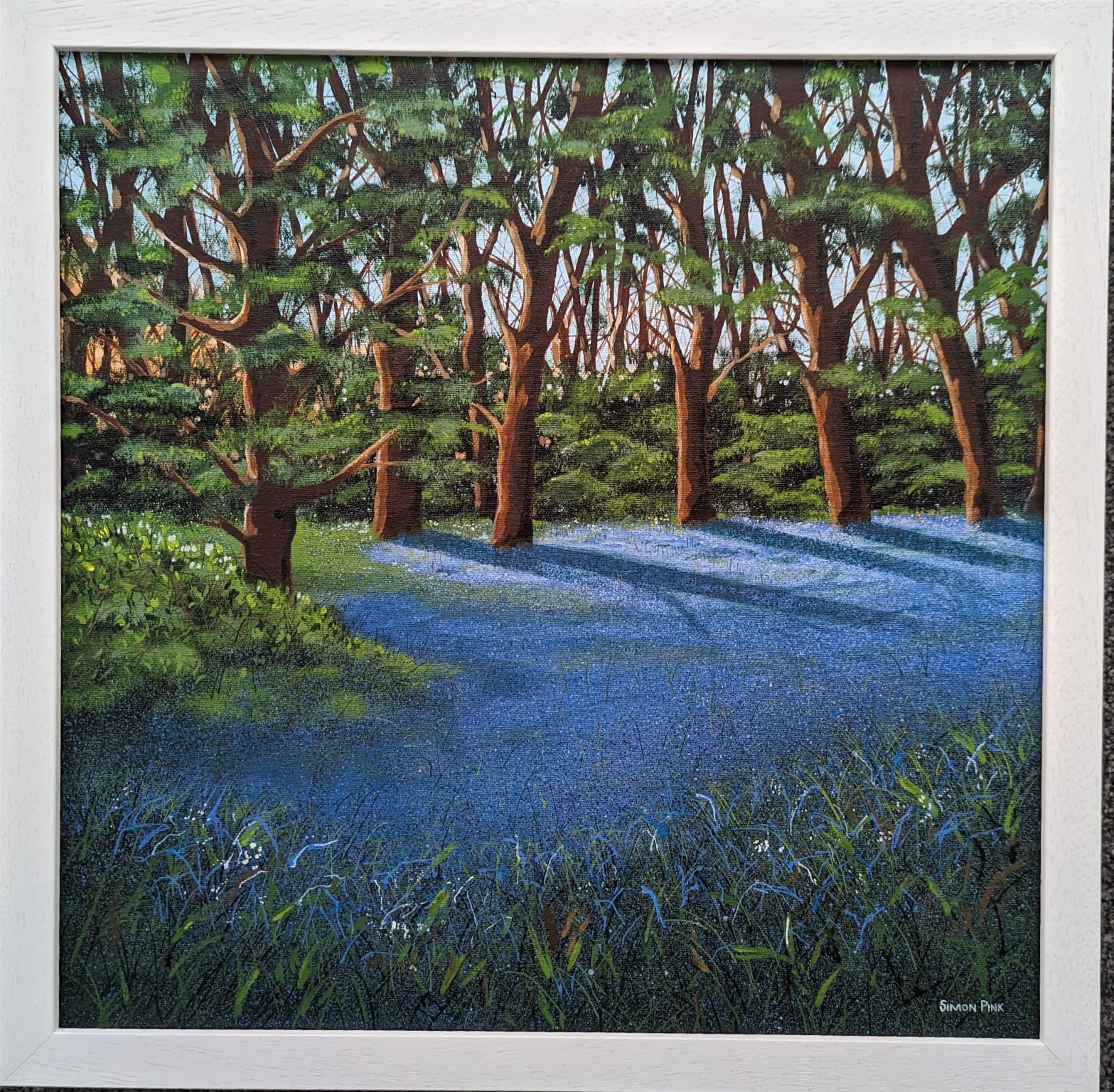 Bluebells in Spring by Simon Pink