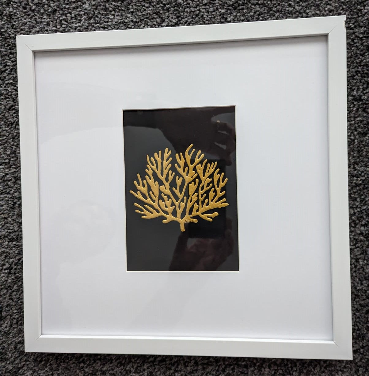"Sea Fan Coral" - Phil Beck