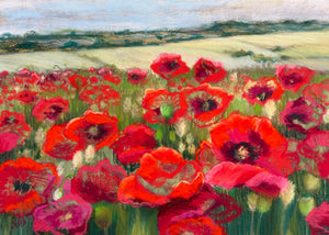 "Field of Poppies" - Jo Lillywhite