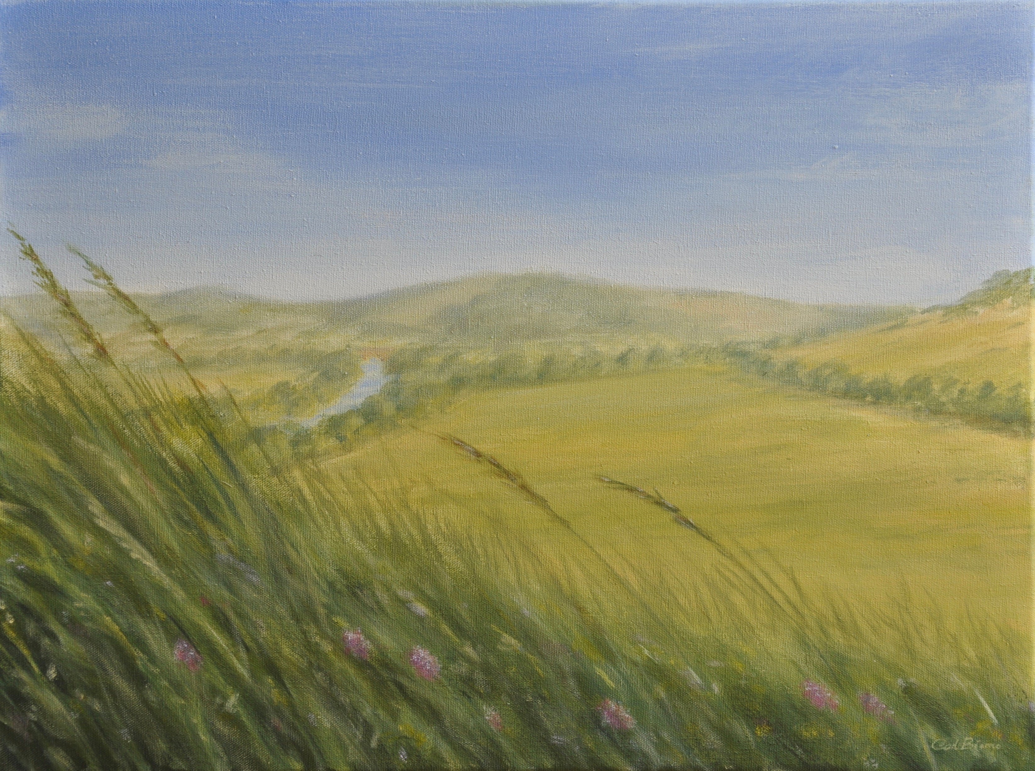 "Goring Gap from Hartslock"