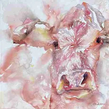 In a field not far away