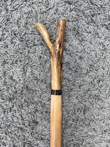 Long Walking sticks by John Priest