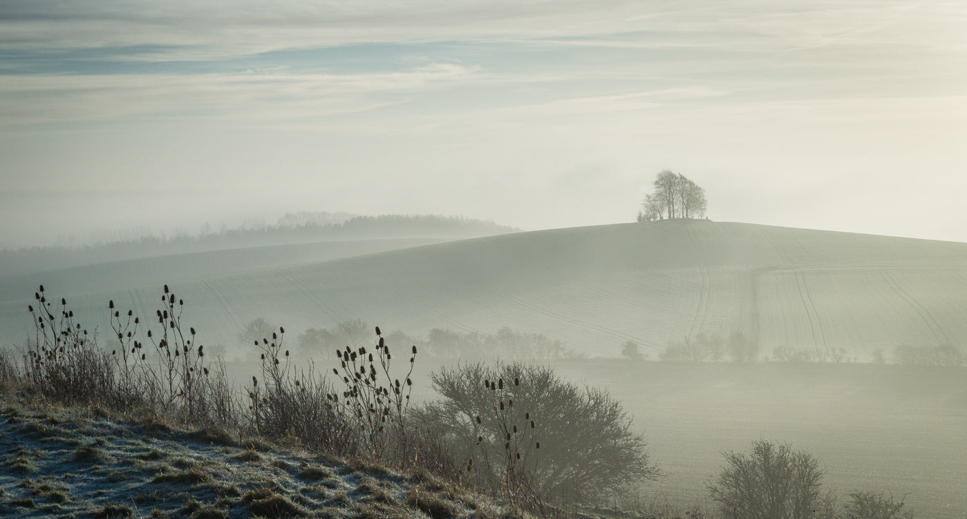 "Misty morning at Brightwell Barrow" by Wendy Reed