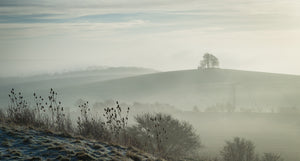 "Misty morning at Brightwell Barrow" by Wendy Reed