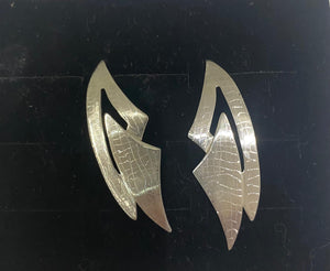 Sterling Silver earrings