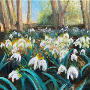 "Snowdrop Magic" - Jo Lillywhite