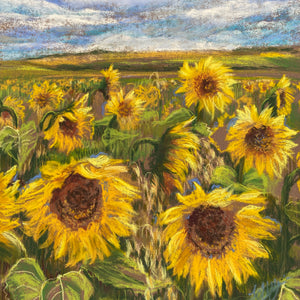 "Sunflower Field" - Jo Lillywhite