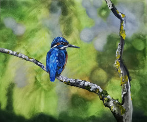 "The Kingfisher" - Linda Hunn