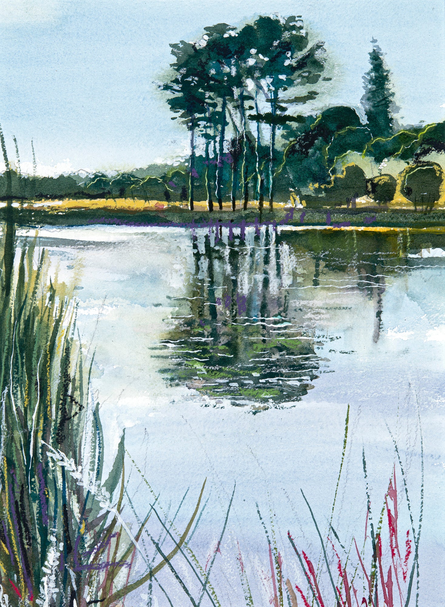 The Lake & Pines by Richard Carruthers