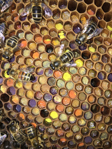 "Honeycomb pattern Nok Pot" - Pete Morton