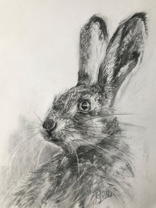 "Sideways glance" - Jo Lillywhite