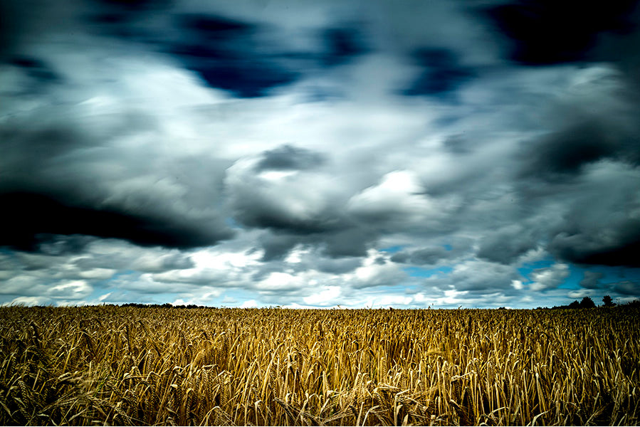 Storm Clouds by Neil Horne