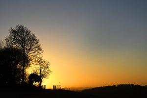 Sunrise beyond - The Hollies 35 x 45 - Bee Bowman