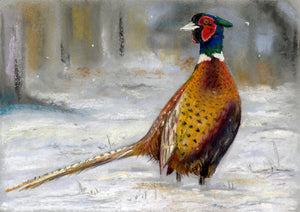 Winter Pheasant Original Pastel - Lizzie Webb