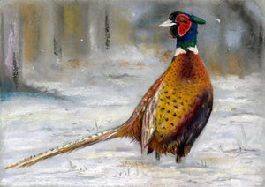 "Winter Pheasant"- Lizzie Webb