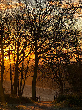 Sunrise at Favoured Gate 2/40 - 35 x 45 cm - Bee Bowman