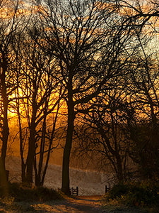Sunrise at Favoured Gate 2/40 - 35 x 45 cm - Bee Bowman